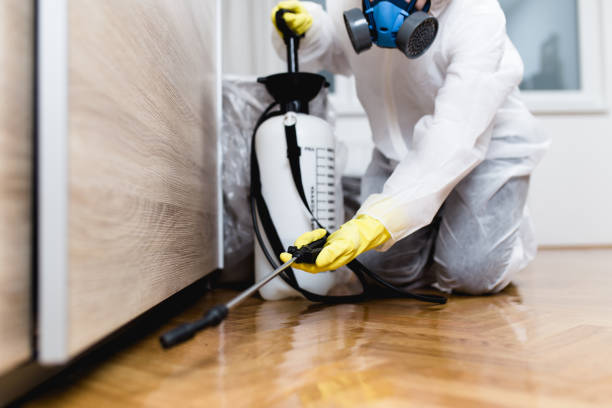 Reliable Glennville, GA Pest Control Solutions