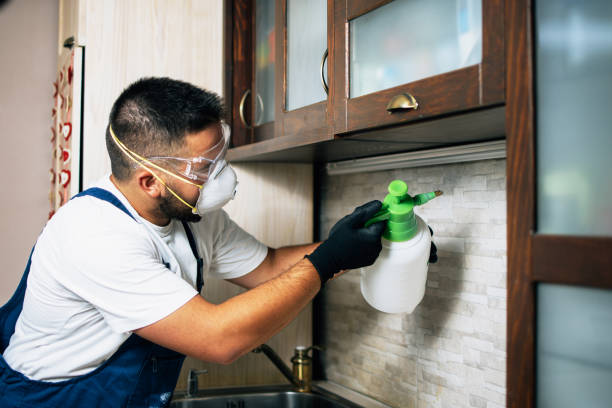 Best Rat Extermination Near Me  in Glennville, GA