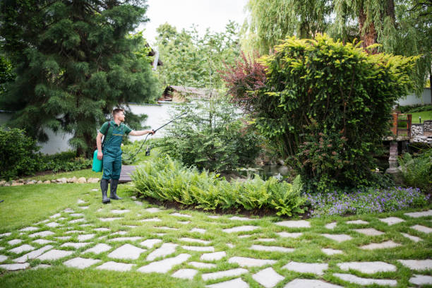 Best Residential Pest Control  in Glennville, GA