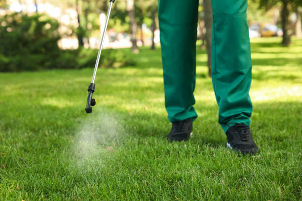 Best Pest Removal Services  in Glennville, GA