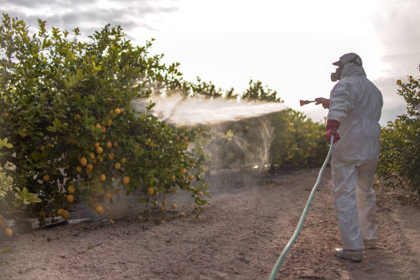 Best Wasp Removal Services  in Glennville, GA