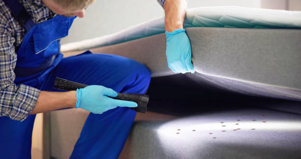 Best Ant Control Services  in Glennville, GA