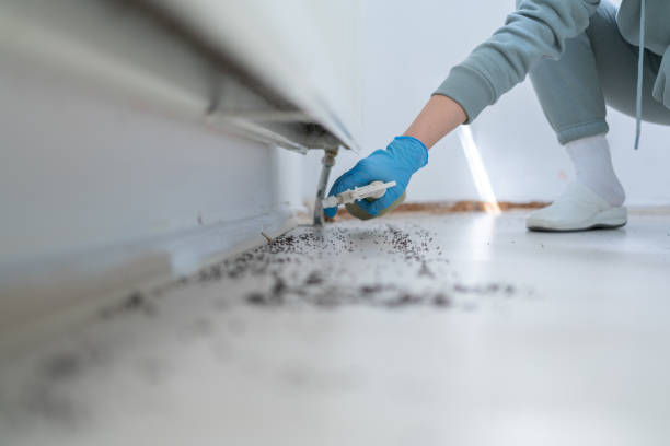Best Best Pest Control Companies  in Glennville, GA
