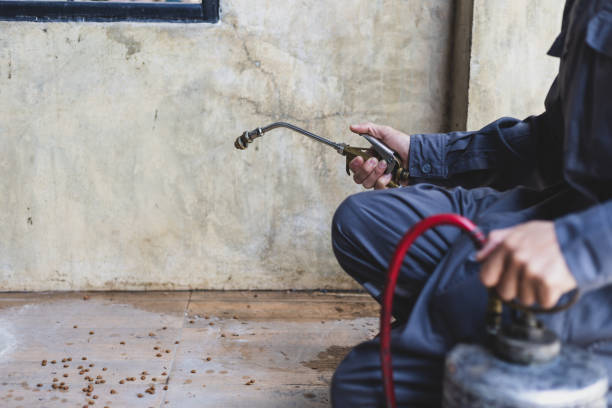  Glennville, GA Pest Control Pros